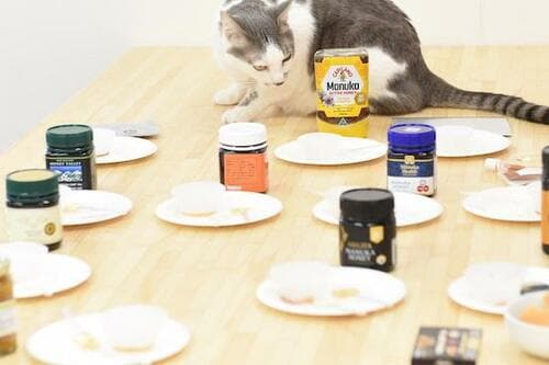 マヌカハニーを食べてみての総括 イメージ2