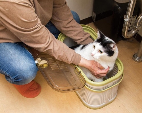 テクニック4 猫用キャリーバッグおすすめ イメージ