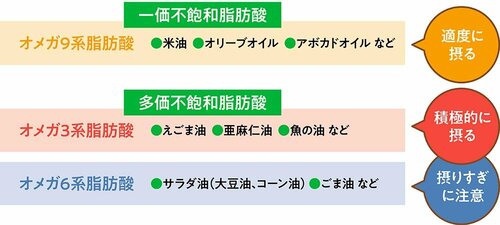2：不飽和脂肪酸 えごま油おすすめ イメージ