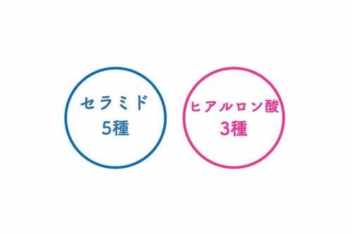 リッチな保湿成分で肌をうるおす イメージ