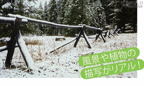 Good Priceの理由:YouTubeも地デジも超良好画質! 液晶テレビおすすめ イメージ