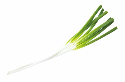 ねぎの正しい選び方鮮度がおいしさのカギです