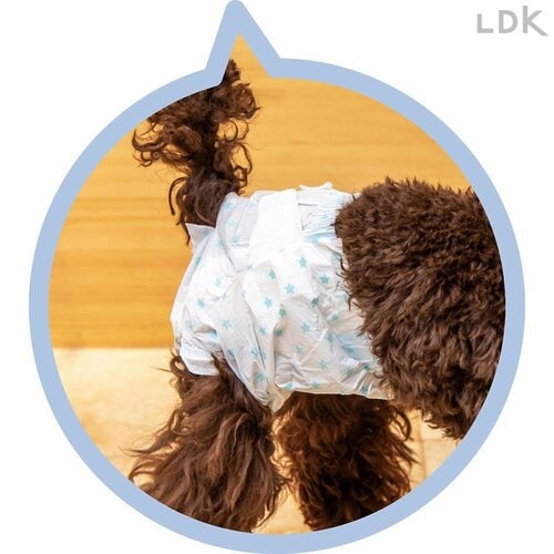 テープは付け直しができる 犬用おむつおすすめ イメージ