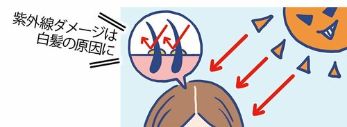適度な皮脂が頭皮を守る イメージ