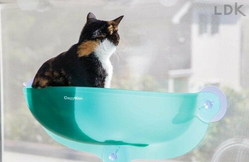 吸盤の耐久性に不安 猫の窓ベッドおすすめ イメージ