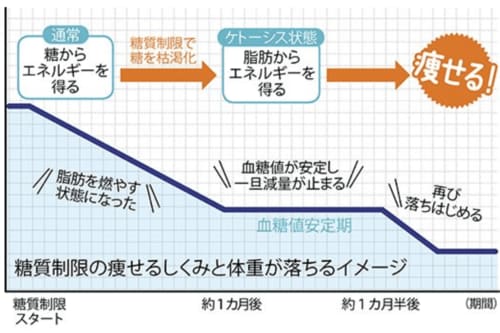 糖質制限の痩せる仕組みイメージした図