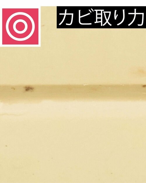 カビ取り力 カビ取りスプレーおすすめ イメージ