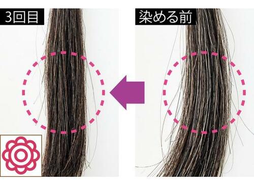もとの黒髪も染まりすぎず自然なロート製薬「50の恵」 カラートリートメントおすすめ イメージ3