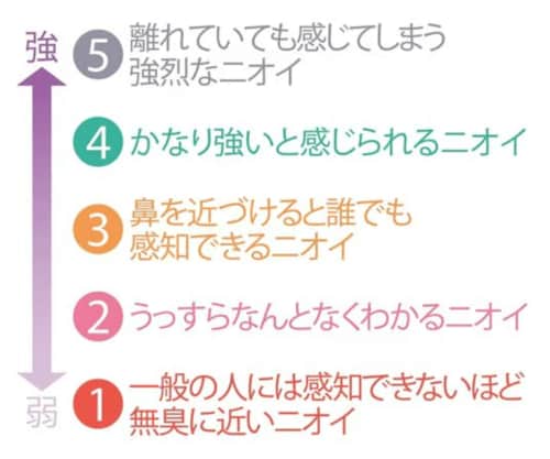 テスト2:消臭力 メンズ制汗剤(ロールオンタイプ)おすすめ イメージ2
