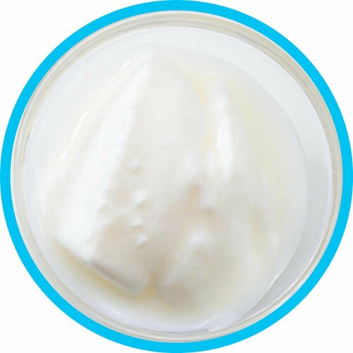 ヨーグルトおすすめ ヤツレン 毎日直送 酪農ヨーグルト イメージ2