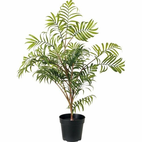 イケア「フェイカ 人工観葉植物/ヤシ」 イメージ