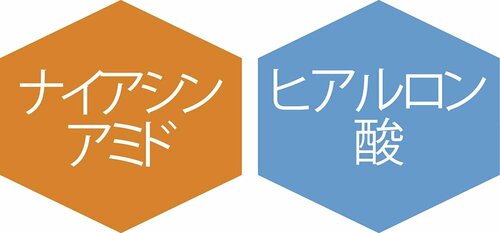 肌にうれしい成分がてんこもり! イメージ