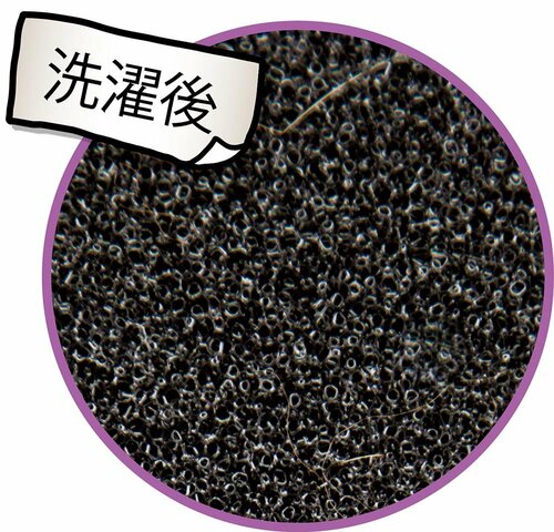 D評価: アイソシアル「フリーランドリー」 イメージ2