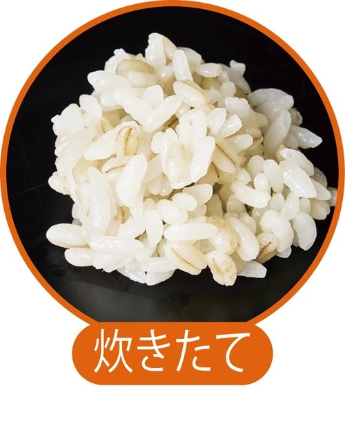 炊きたての状態 もち麦おすすめ イメージ