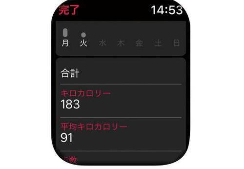 フィットネス機能も問題ナシ