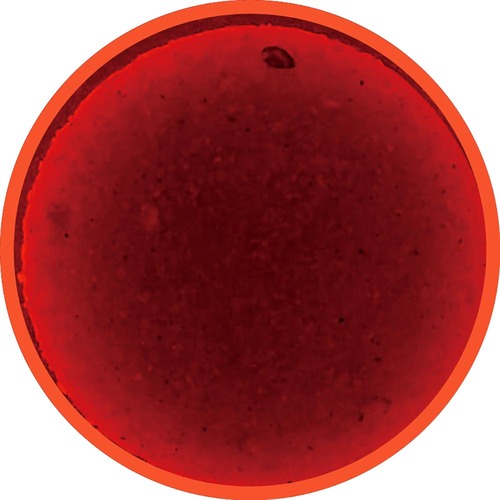 焼肉のたれおすすめ 味研 純生濃口 焼肉のたれ イメージ2