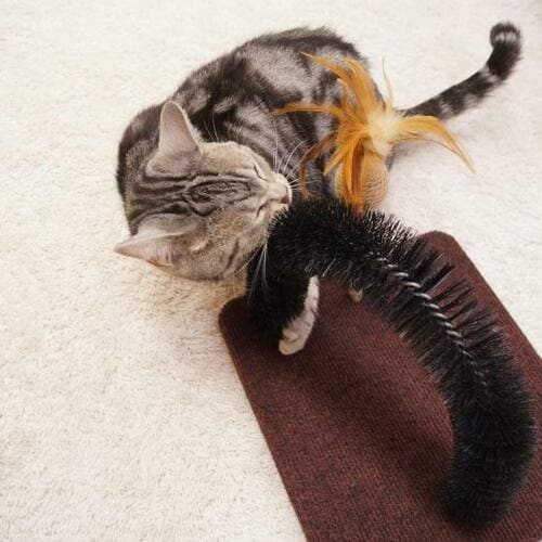 顔や体をスリスリできて気持ちイイ イメージ2