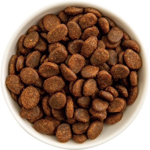 猫用ドライフードおすすめ アカナファミリージャパン アカナ パシフィカキャット イメージ2