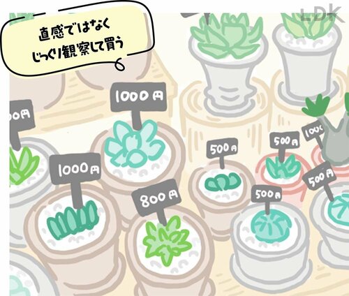 選び方4：虫の状態をチェック 観葉植物おすすめ イメージ