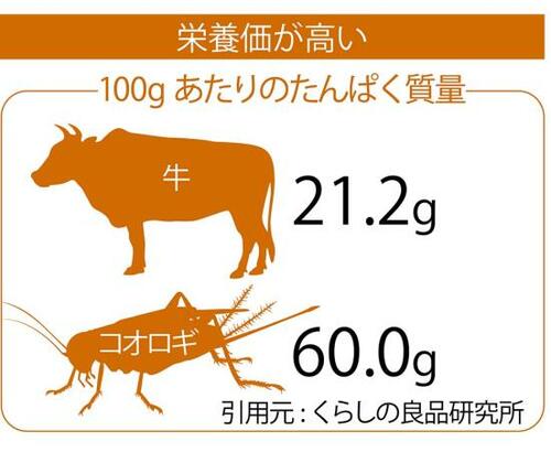 栄養価が高い イメージ