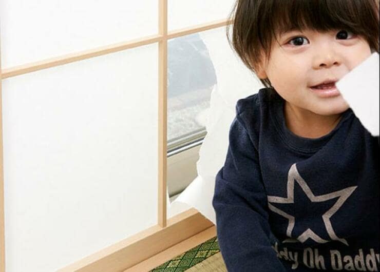 貼りやすくて破けにくい障子紙おすすめベストバイ2020｜4製品を測定！