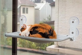 【日なたぼっこベッド】ニャンコのこの姿見て休日がつぶれてもいいよね。｜Amazonスマイルセール
