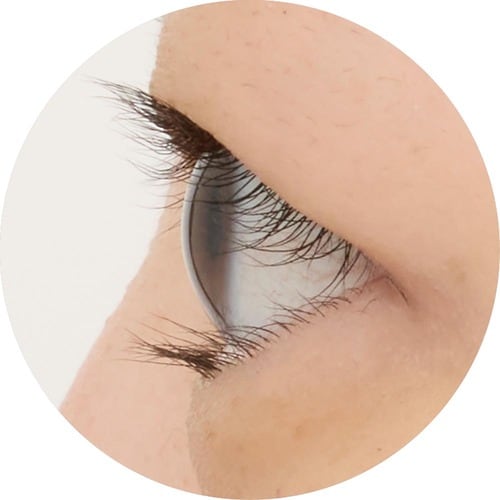 一重 ビューラーおすすめ イメージ2