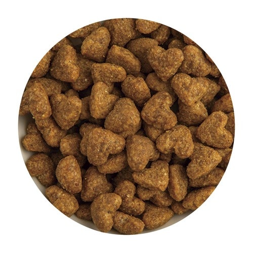 ドッグフードおすすめ 日本ペットフード ビューティープロ 成犬用 1歳から イメージ2