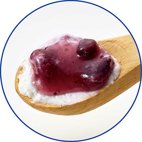 ヨーグルトおすすめ ダノンジャパン オイコス 高吸収タンパク質 ブルーベリー イメージ2