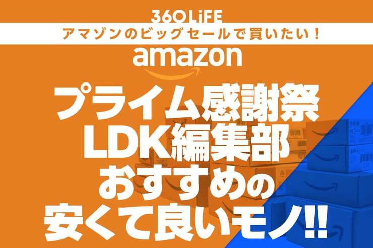 【プライム感謝祭セール】「LDK」編集部員おすすめの“安くて良いもの”まとめ！