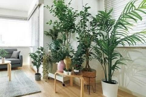 IKEA、ニトリ、その他　フェイクグリーン　24個 フェイクグリーンのおすすめ20選。IKEA、ニトリのおしゃれ