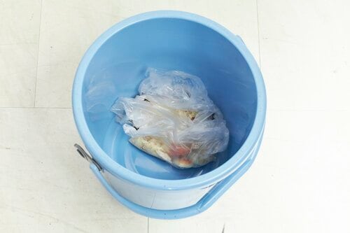 生ゴミだけの状態:鼻だけでなく目にも刺激臭が! イメージ