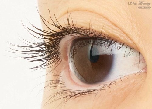 仕上がり マスカラおすすめ イメージ