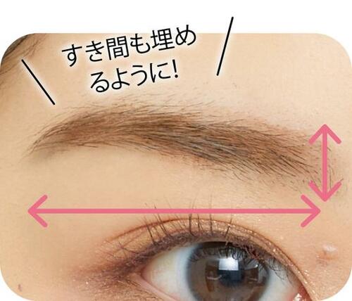 「メイク感のある眉」は長さと太さで決まる