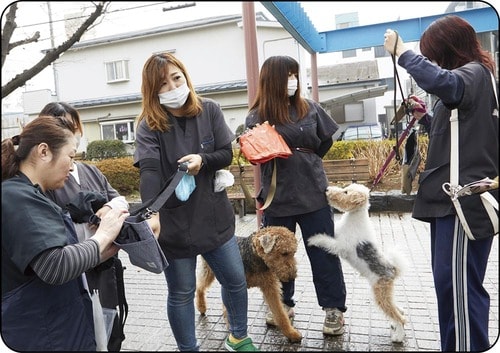 選び方1：品質・デザイン 犬のお散歩バッグおすすめ イメージ