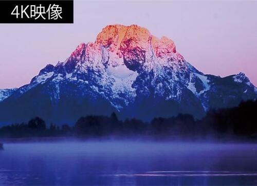 LG最新モデル「55A1PJA」