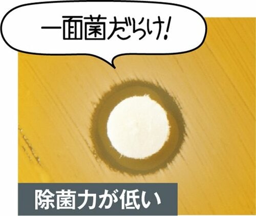 【テスト②除菌力】専門機関で菌を培養し、除去効果をチェック イメージ5