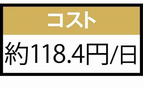 コスト：1日約118.4円 コエンザイムQ10サプリおすすめ イメージ