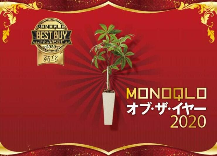 圧倒的リアルなフェイクグリーン！ボナフラワー工房「パキラ」｜MONOQLO オブ・ザ・イヤー2020
