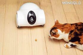 【猫が喜ぶ部屋】外から遠隔で猫と遊べるペットカメラ! 猫が居座る猫ベッド(MONOQLO)