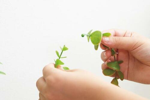 長さを調節すればより本物感を出せます イメージ