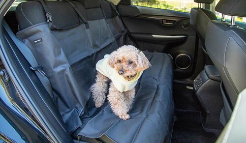 見た目も機能もシンプル 犬用ドライブシートおすすめ イメージ