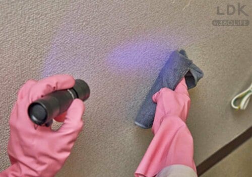 STEP2：ブラックライトでチェック! イメージ