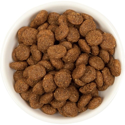 グレインフリーキャットフードおすすめ イシイ ヤラー キャットフード グレインフリー イメージ2