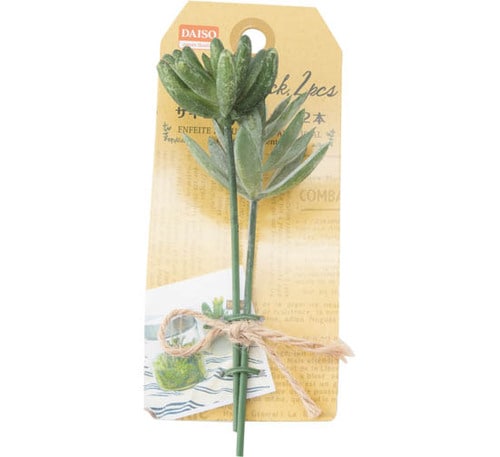 ダイソー:サキュレント:ピック アソート:100均:100:100円:100円ショップ