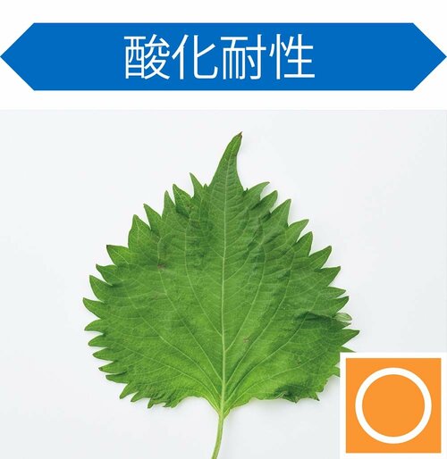 酸化耐性 キッチンポリ袋おすすめ イメージ