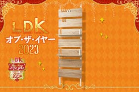 仕切り投入でリビングが変わる！ おしゃれ&使えるラックを楽天で発見【LDKベストバイ2023】