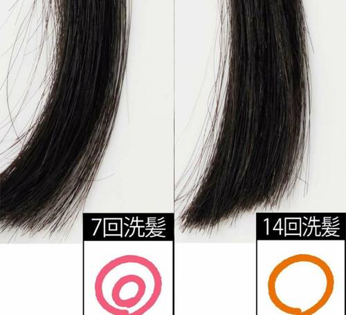 ホーユー「ビゲン 泡クリームカラー/6N」の洗髪後の色の変化
