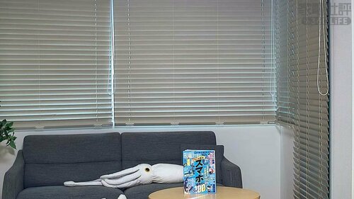 望遠（2K） 見守りカメラおすすめ イメージ