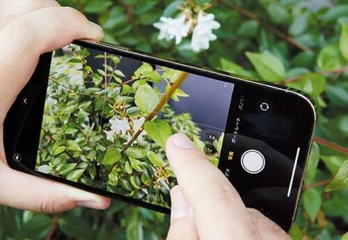 iPhone撮影テクニック6